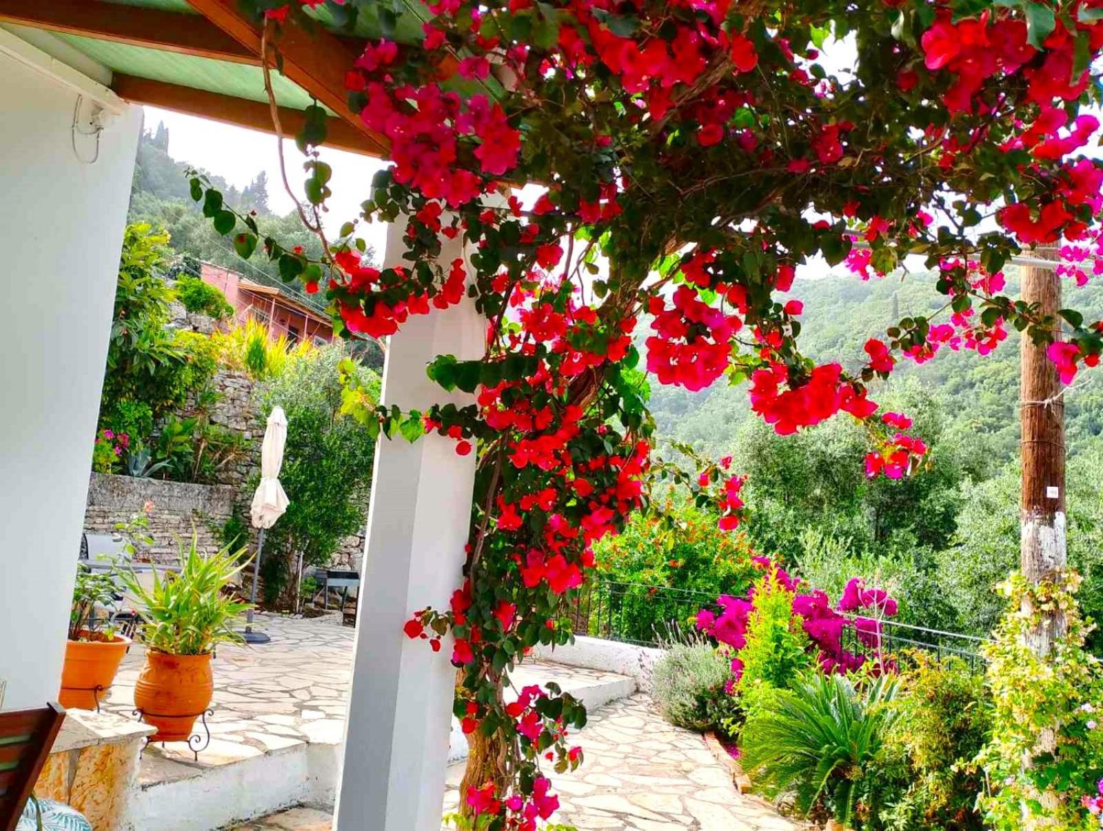 Fior Di Corfu Villa Kalámi Eksteriør billede